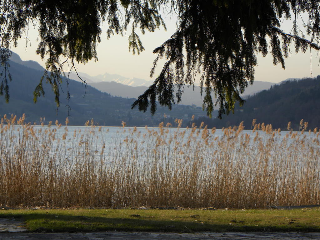 Casa De Val Daire Calceranica al Lago Dış mekan fotoğraf