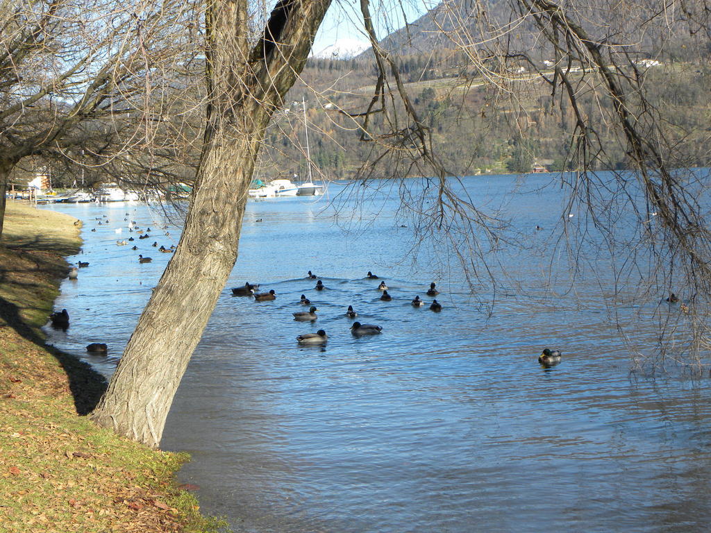 Casa De Val Daire Calceranica al Lago Dış mekan fotoğraf